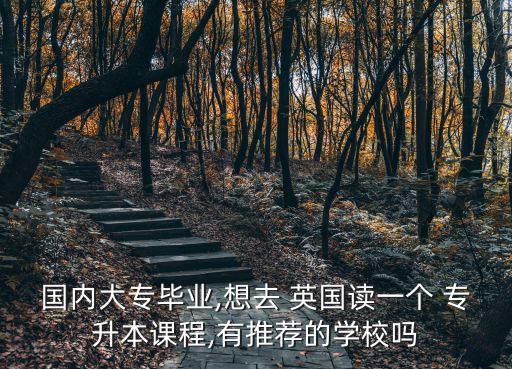 國內(nèi)大專畢業(yè),想去 英國讀一個 專升本課程,有推薦的學校嗎