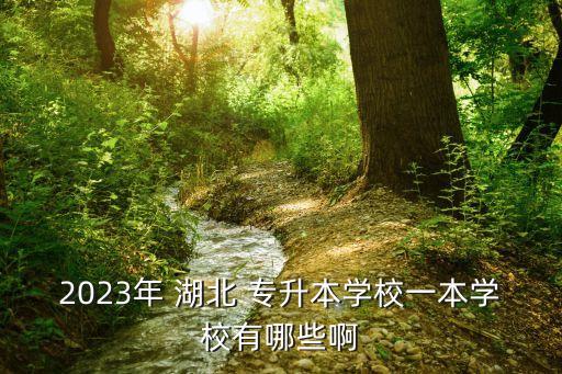 湖北師范專升本院校,河南省師范類專升本院校有哪些
