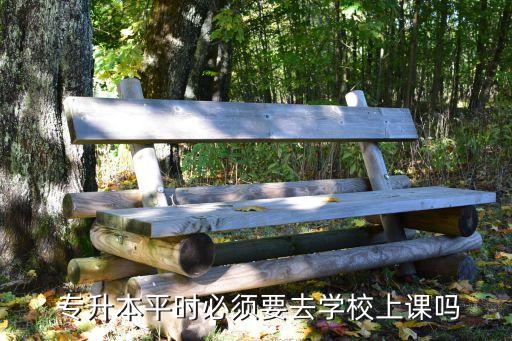  專升本平時必須要去學(xué)校上課嗎