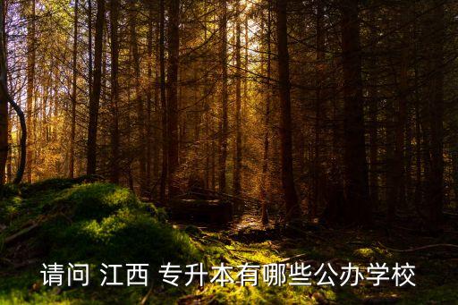 請(qǐng)問 江西 專升本有哪些公辦學(xué)校