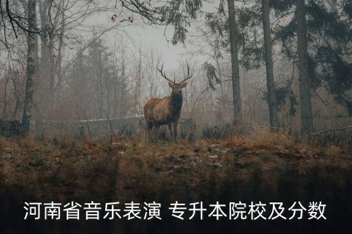 河南省音樂(lè)表演 專(zhuān)升本院校及分?jǐn)?shù)