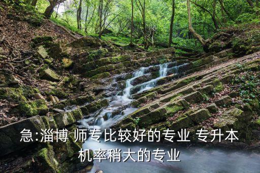急:淄博 師專比較好的專業(yè) 專升本機率稍大的專業(yè)
