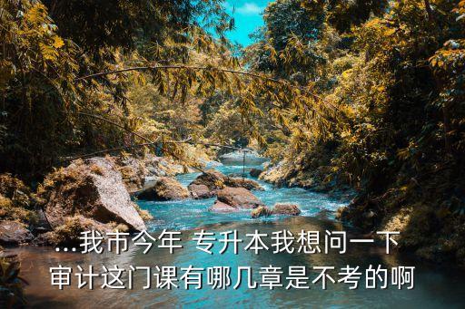 ...我市今年 專升本我想問一下 審計(jì)這門課有哪幾章是不考的啊