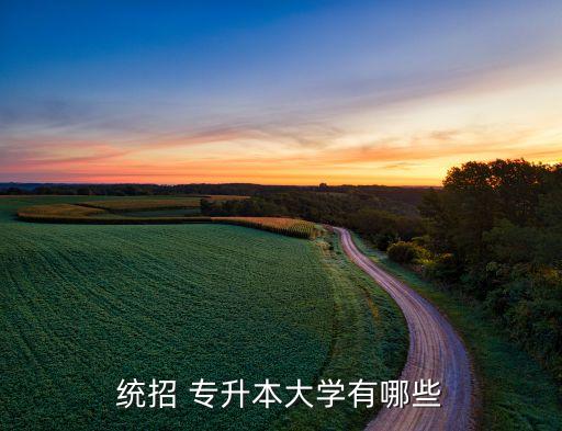 2018年專升本語(yǔ)文考試真題