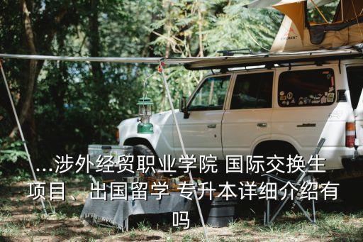 ...涉外經(jīng)貿(mào)職業(yè)學(xué)院 國際交換生 項(xiàng)目、出國留學(xué) 專升本詳細(xì)介紹有嗎