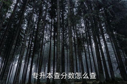 山西省專升本成績查詢入口,山東專升本成績查詢入口