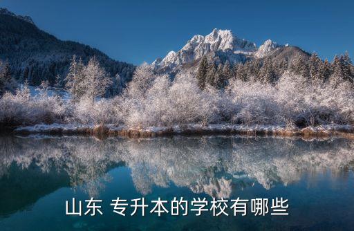 山東 專(zhuān)升本的學(xué)校有哪些