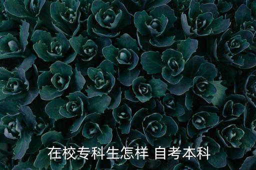 在校大專生可以自考專升本嗎,?？圃谛Ｉ竞妥钥紝Ｉ镜膮^(qū)別