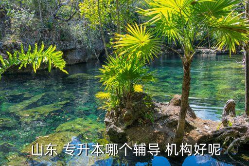 山東專升本培訓機構哪家強,山東省專升本培訓機構排名