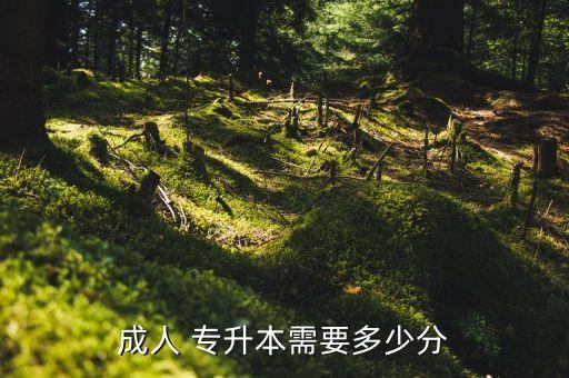 湖南省成人高考專(zhuān)升本錄取分?jǐn)?shù),2022年成人高考錄取分?jǐn)?shù)