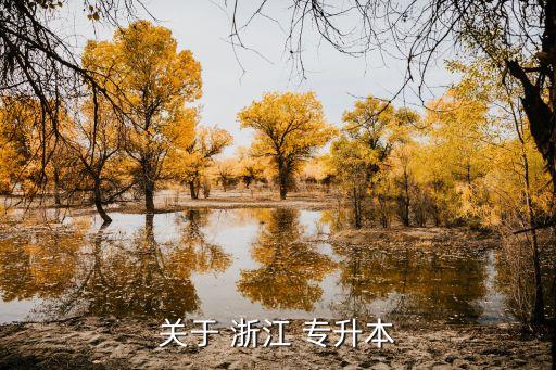 關于 浙江 專升本