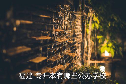 福建 專(zhuān)升本有哪些公辦學(xué)校