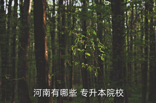 河南2 2專升本的學校,河南電子商務(wù)專升本學校有哪些