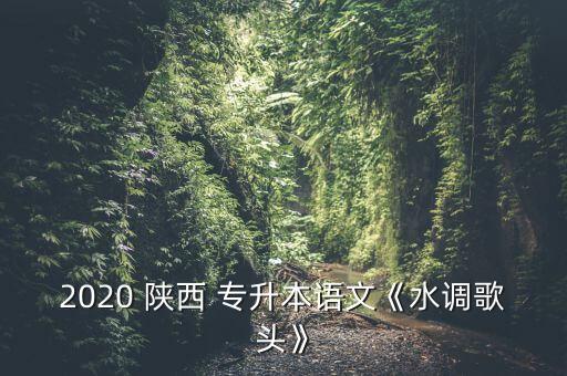 陜西專升本重點下載,陜西理工大學(xué)專升本