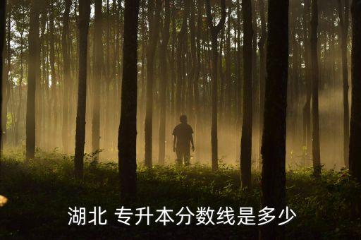 湖北第二師范學(xué)院專升本英語(yǔ)