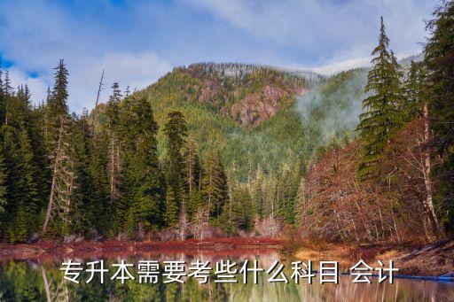 會(huì)計(jì)專(zhuān)升本考試試題