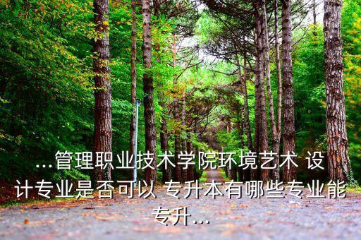 ...管理職業(yè)技術學院環(huán)境藝術 設計專業(yè)是否可以 專升本有哪些專業(yè)能專升...