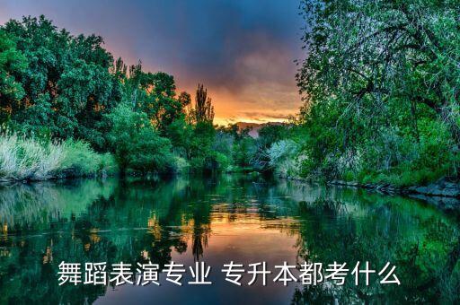 藝體專升本要考的科目,計(jì)算機(jī)網(wǎng)絡(luò)技術(shù)專升本考哪些科目