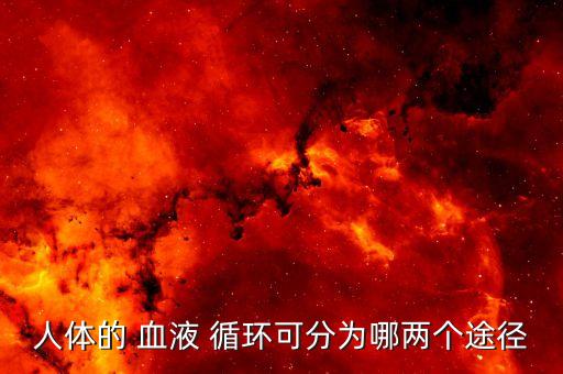 人體的 血液 循環(huán)可分為哪兩個途徑