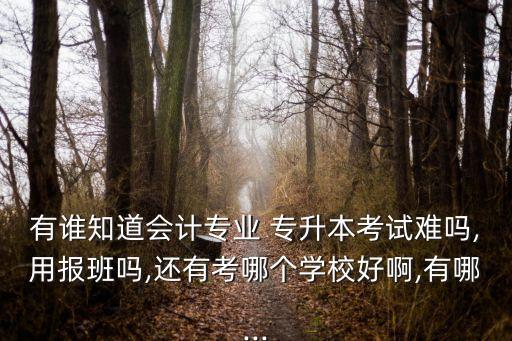 有誰知道會(huì)計(jì)專業(yè) 專升本考試難嗎,用報(bào)班嗎,還有考哪個(gè)學(xué)校好啊,有哪...