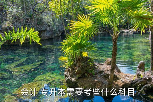  會(huì)計(jì) 專升本需要考些什么科目