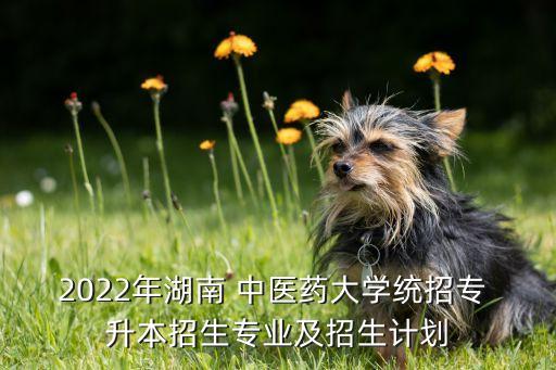 湖南省中醫(yī)藥高專升本,長(zhǎng)春中醫(yī)藥專升本