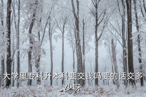 大學(xué)里?？粕究埔诲X嗎要的話交多少呀