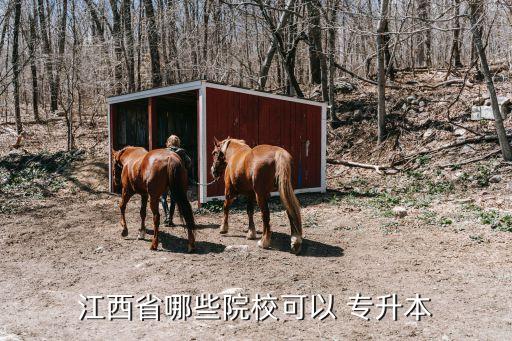 江西省哪些院?？梢?專升本