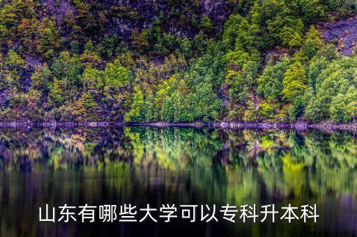 山東有哪些大學(xué)可以?？粕究? class=