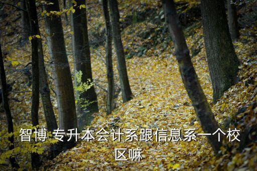 智博計(jì)算機(jī)專(zhuān)升本教案,山東專(zhuān)升本計(jì)算機(jī)思維導(dǎo)圖智博教育