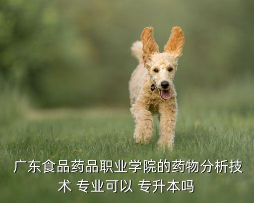  廣東食品藥品職業(yè)學(xué)院的藥物分析技術(shù) 專業(yè)可以 專升本嗎