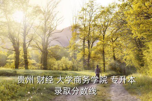 貴州財經(jīng)大學可以專升本嗎