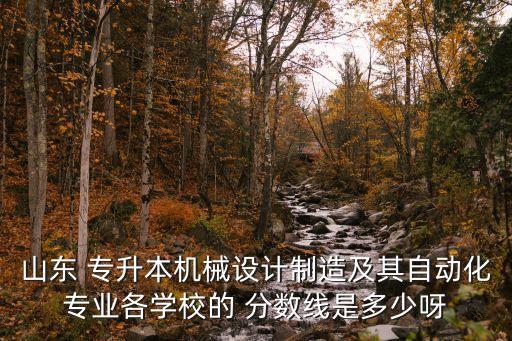 山東 專升本機械設計制造及其自動化專業(yè)各學校的 分數(shù)線是多少呀