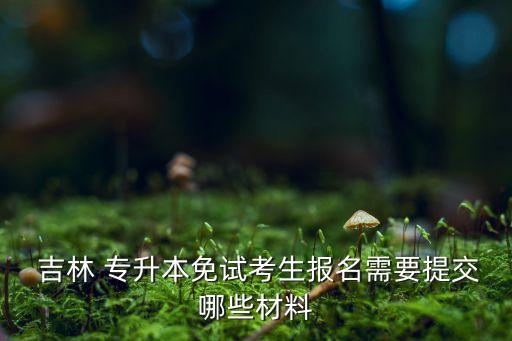 吉林 專升本免試考生報名需要提交哪些材料