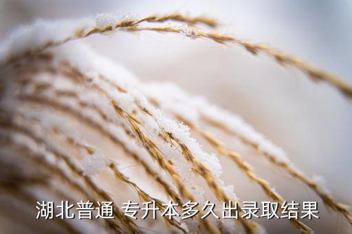  湖北普通 專升本多久出錄取結果