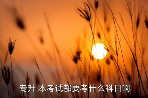 ?？朴⒄Z教育專升本考的什么,黑龍江省英語教育專升本考什么科目