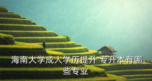  海南大學(xué)成人學(xué)歷提升 專升本有哪些專業(yè)