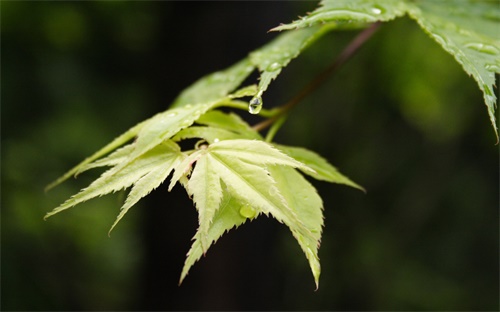 美程專升本秋季班時間,北京專升本英語報名時間表